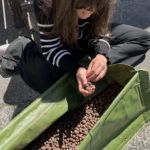 20260528-c402fc89-6560-463a-bfef-94fba03856b7