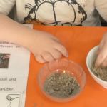 20260326-Bild-20260219-103232-e610d2c2