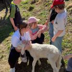 20260625-Bild-20260408-085346-bf1711ad_3709