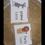 20260127-20260127_114345